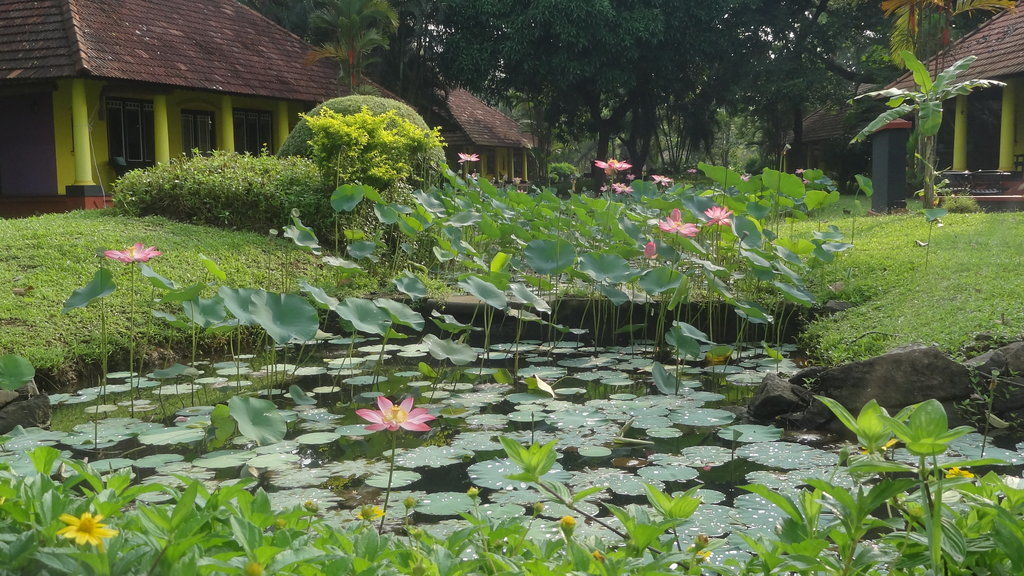 Taj Kumarakom Resort And Spa Kerala Εξωτερικό φωτογραφία